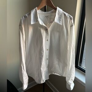 Aritzia Button Down Shirt